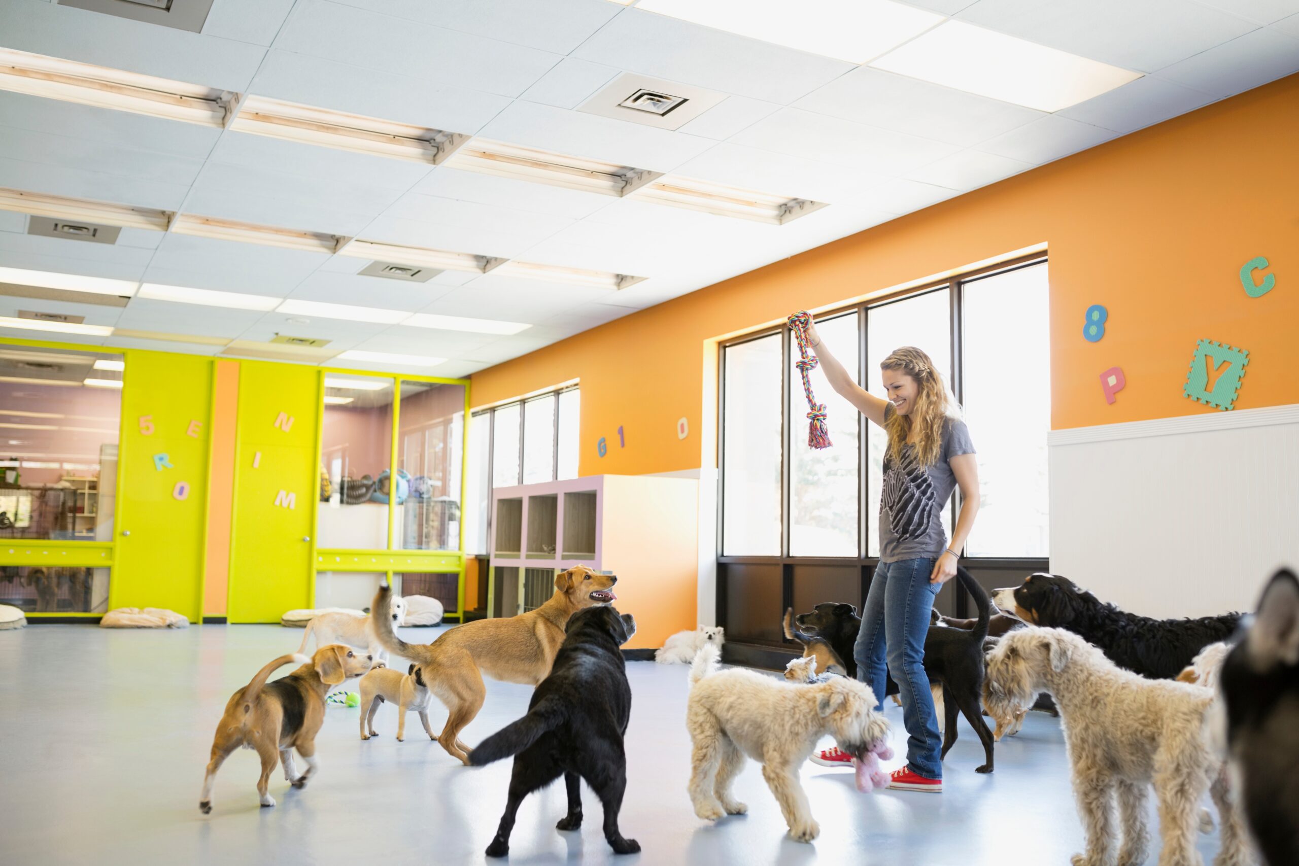 woman-playing-with-dogs-in-playful-indoor-setting-2026-03-26-05-10-22-utc